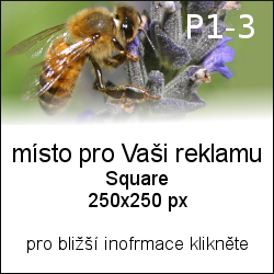 nabídka reklamy na včelíně 250 x 250 kód H1-3 border=